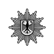 special-forces badge